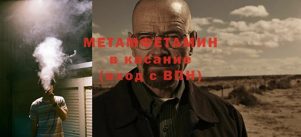 прущие грибы Дмитров