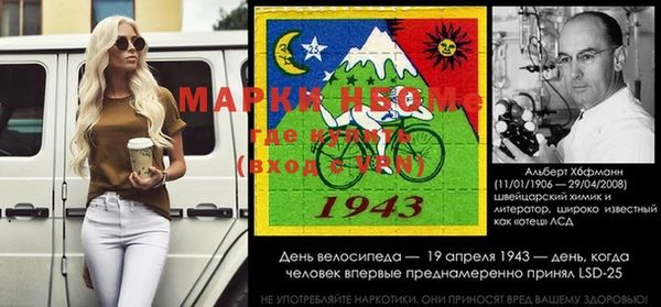 прущие грибы Дмитриев