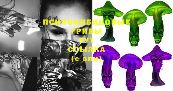 крисы Абдулино