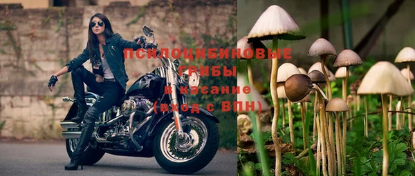 гидропоника Абаза