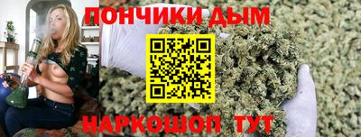 индика Пенза