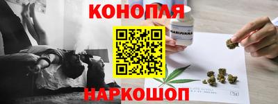индика Пенза