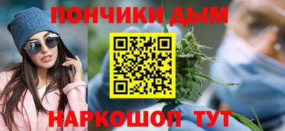 индика Пенза