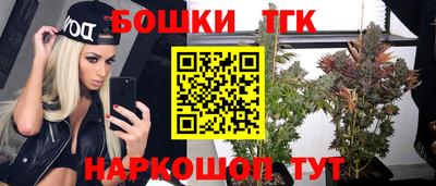 индика Пенза