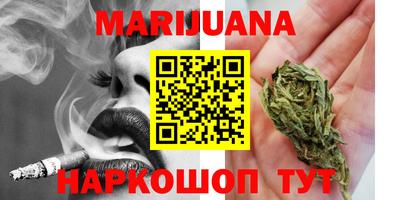 индика Пенза