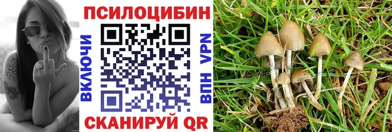 Псилоцибиновые грибы MAGIC MUSHROOMS Таганрог
