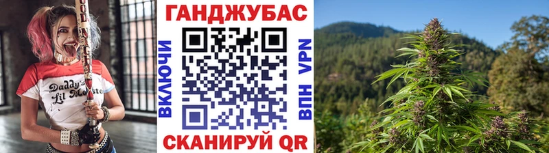 как найти наркотики Таганрог Бошки марихуана гибрид